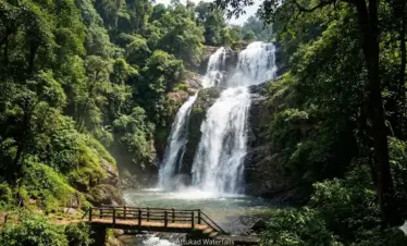 Attukad Waterfall