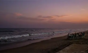 blue point puri